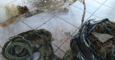 Resíduos da pesca podem causar danos ao meio ambiente