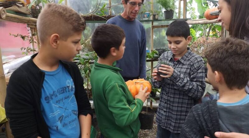 EBM MANOEL JOSÉ DA SILVA INICIA PROJETO DE HORTAS