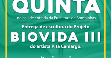 Convite: Entrega escultura Projeto BioVida III - Pita Camargo