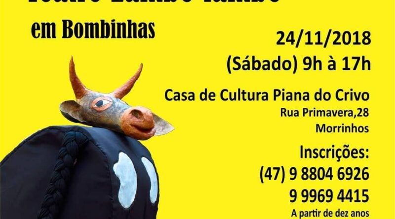 Cia Sandra Baron realiza oficina de Teatro Lambe-lambe, sendo que as caixas que ficarem prontas até abril poderão participar da programação do FESTIRUA 2019.