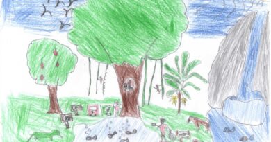 Estudantes do 3º, 4º e 5º anos ilustram a Biodiversidade