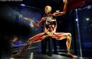 Alunos bombinenses visitam exposição O Fantástico Corpo Humano.