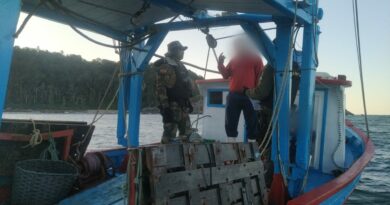 Fiscalização visa regular a Pesca da Tainha