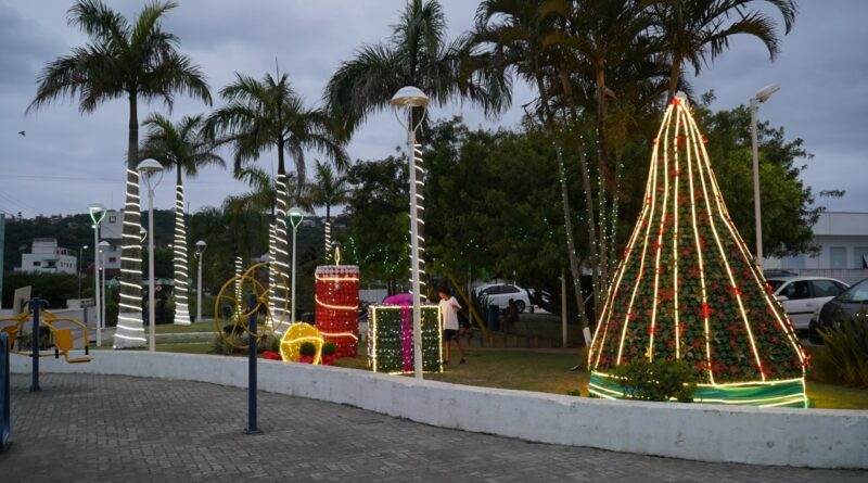 Praça XV de Março - Árvore Ecológica