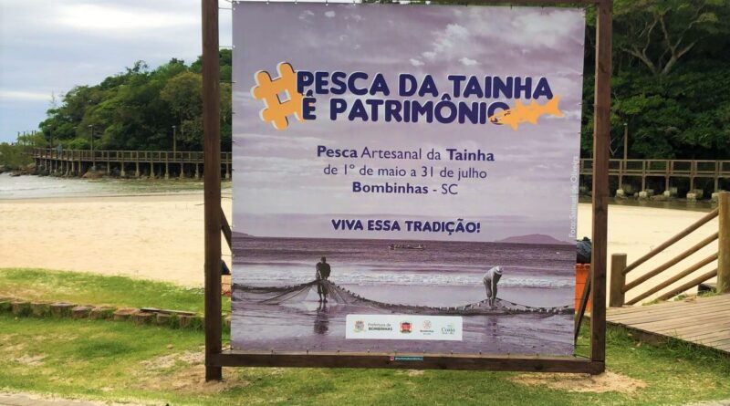 Pesca da Tainha