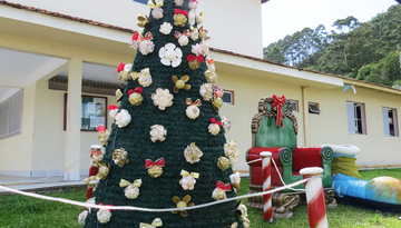 Árvore de Natal Canto Grande