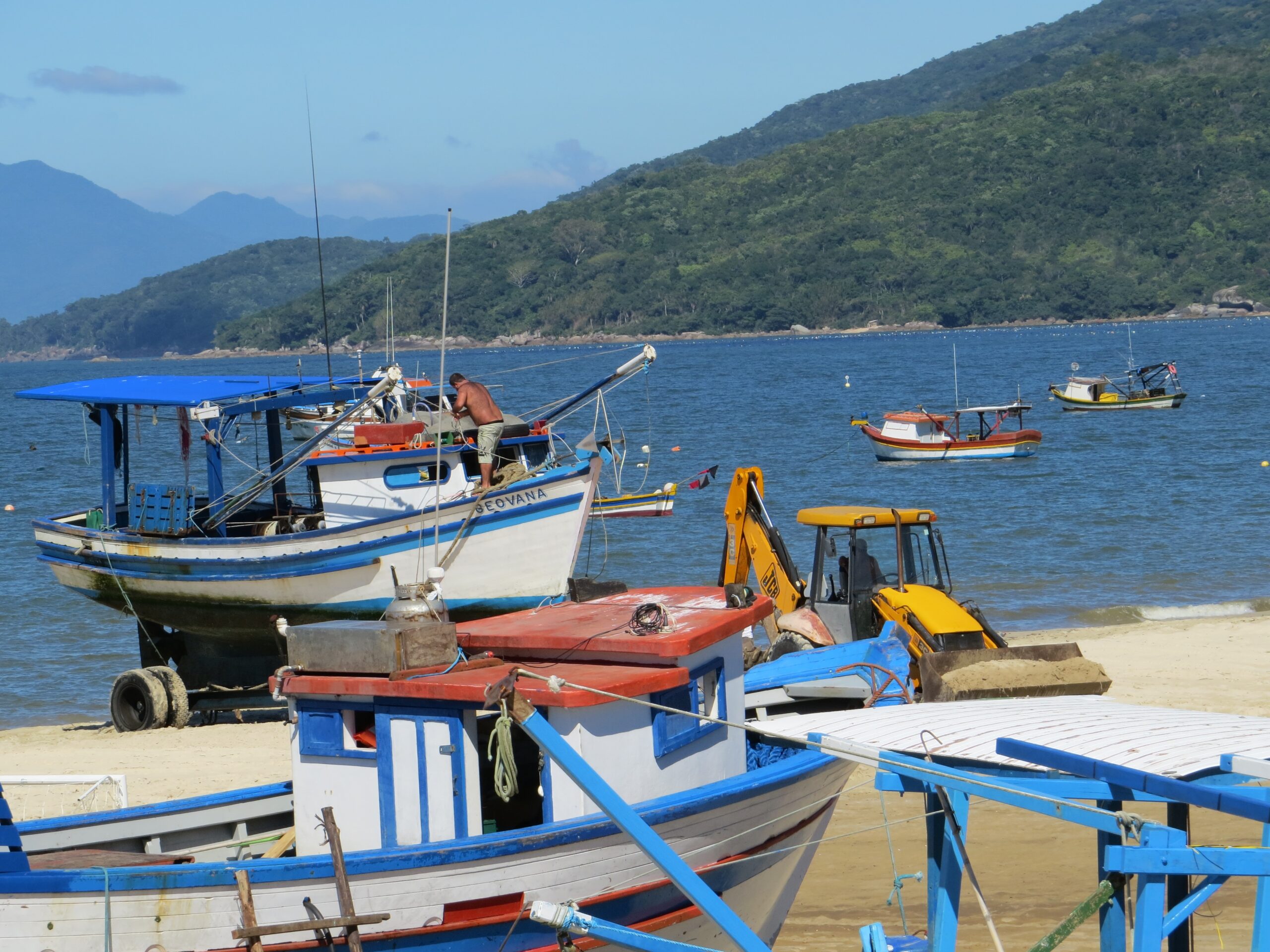 GEDSA proíbe retirada de ostras, vieiras, mexilhões e berbigões nas praias de Zimbros e Canto Grande.
