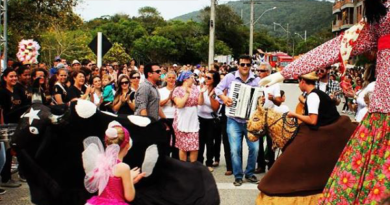 O Boi de Mamão da Fundação Municipal de Cultura, “Eira Meu Boi”, esteve em apresentação especial na Feira da Freguesia, em São José, no último domingo, dia 12 de outubro.