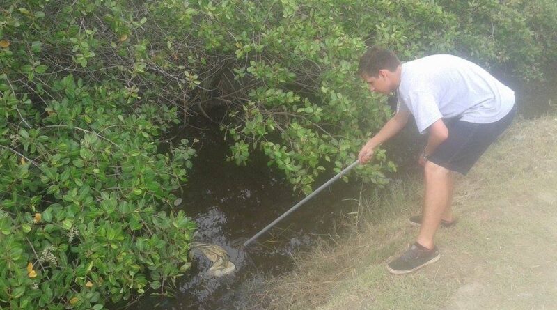 Limpeza do mangue acontece neste sábado